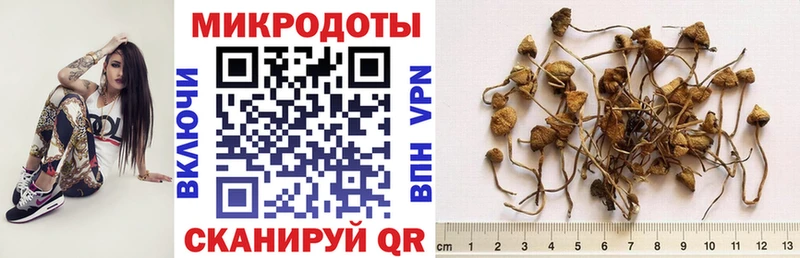 Псилоцибиновые грибы мухоморы  даркнет сайт  Снежинск 